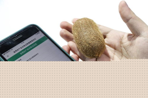 新華全媒 | 創新科技閃耀數博會，信息咨詢服務開啟智慧未來新篇章